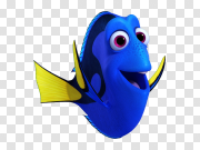 Finding Nemo PNG Free Download 寻找尼莫PNG免费下载 PNG图片