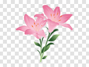 Easter Lilies Transparent Background PNG 复活节百合透明背景PNG PNG图片