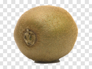 Kiwi Free PNG Image 猕猴桃免费PNG图片 PNG图片