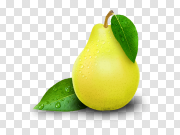 Pear PNG Photo 梨PNG照片 PNG图片