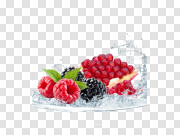 Berry PNG Download Image Berry PNG下载图片 PNG图片