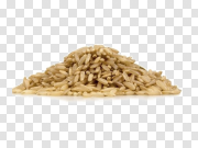 Brown Rice PNG Photo 糙米PNG照片 PNG图片