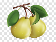 Green Pear PNG High-Quality Image 绿色梨PNG高品质图像 PNG图片