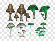 Mushroom PNG Image 蘑菇PNG图像 PNG图片