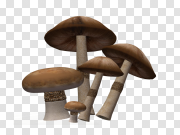 Mushroom PNG Image Background 蘑菇状PNG图像背景 PNG图片