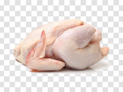 Chicken Meat PNG Photo 鸡肉PNG照片 PNG图片