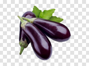  茄子PNG免费下载PNG图片 Eggplant PNG Free Download 