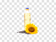 Sunflower Oil Transparent Background PNG 葵花籽油透明背景PNG PNG图片