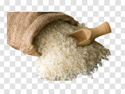 White Rice PNG Image with Transparent Background 具有透明背景的白米PNG图像 PNG图片