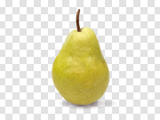 Single Pear PNG Image Background 单个PNG图像背景 PNG图片