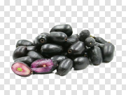 Java Plum Fruit PNG Image 爪哇李子PNG图片 PNG图片