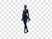 Catwoman Fortnite Free PNG Image 猫女Fortnite免费PNG图片 PNG图片