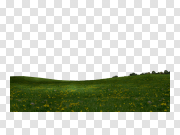 Grass Field Free PNG Image 草地免费PNG图像 PNG图片