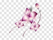 Purple Flowers PNG Picture 紫花PNG图片 PNG图片