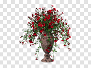 Flower Pot PNG Transparent Image 花盆PNG透明图像 PNG图片