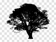 Vector Black Tree PNG Free Image 矢量黑树无PNG图像 PNG图片