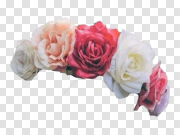 Rose Flower Crown PNG Image Background 玫瑰花冠PNG图像背景 PNG图片