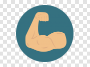 Muscle Arm PNG High-Quality Image 手臂肌肉PNG高质量图像 PNG图片