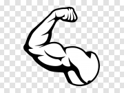 Muscle Arm PNG Picture 手臂肌肉PNG图片 PNG图片