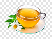 Green Tea Cup PNG Download Image 绿茶杯PNG下载图片 PNG图片