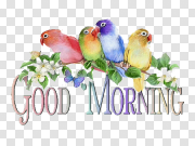 Good Morning Greeting Free PNG Image 早上好欢迎免费PNG图片 PNG图片