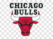 芝加哥公牛队